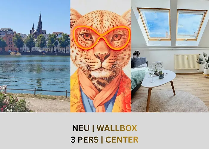 Fewozauber 